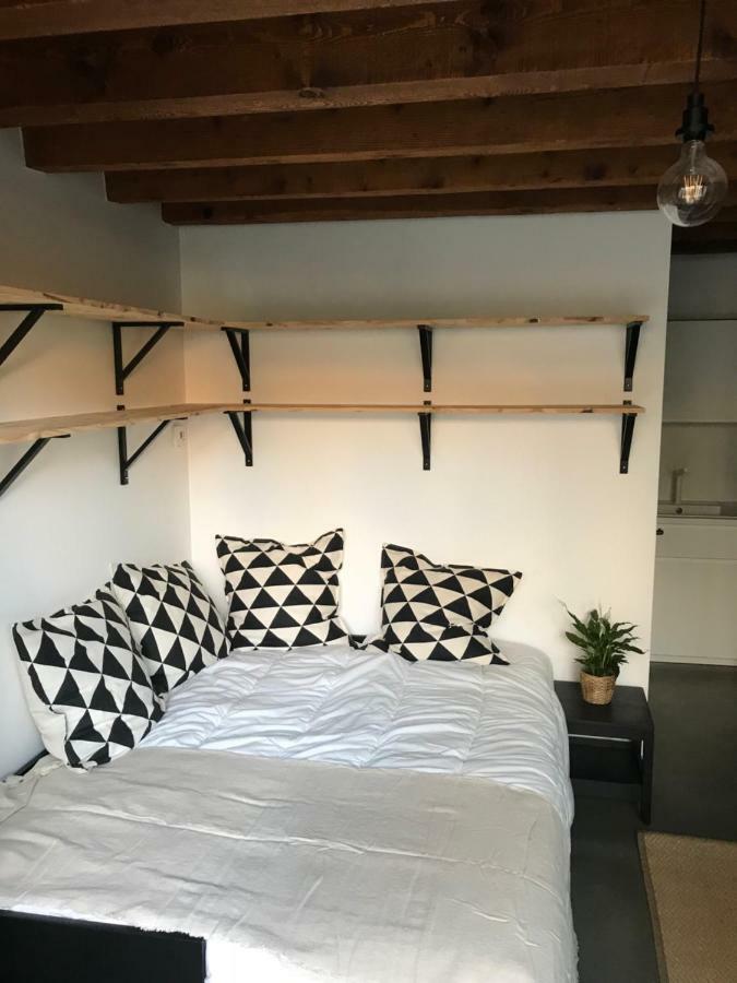 Le Studio Du Moulin Lägenhet Chambéry Exteriör bild